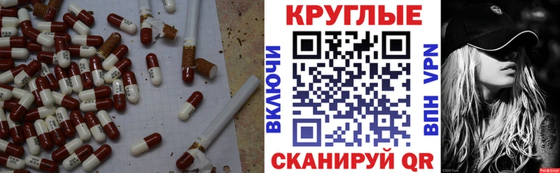 Купить закладки  Светлогорск  ЭКСТАЗИ Punisher 