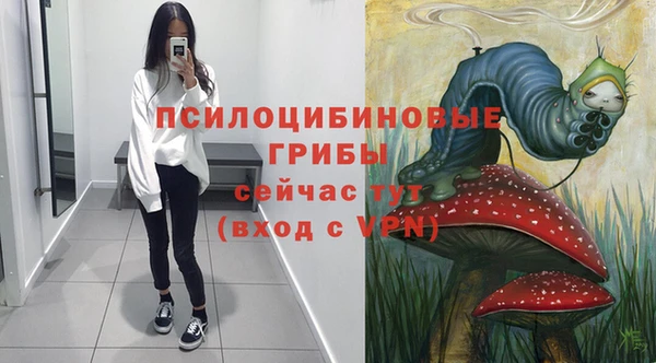 spice Осташков