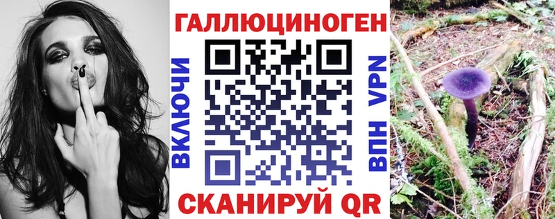 Купить  Светлогорск  Псилоцибиновые грибы мухоморы 